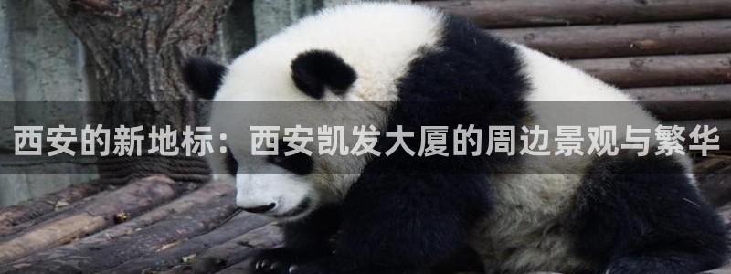 蓝图娱乐官网版下载：西安的新地标：西安凯发大厦的周边景观与繁华