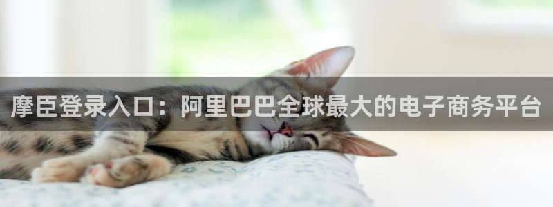 蓝图娱乐是什么：摩臣登录入口：阿里巴巴全球最大的电子商务平台