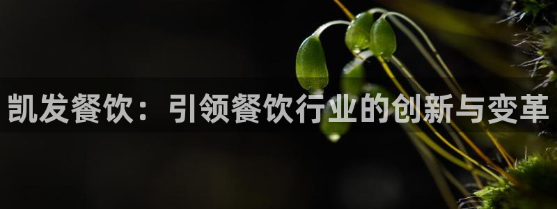 蓝图娱乐平台管网入口：凯发餐饮：引领餐饮行业的创新与变革