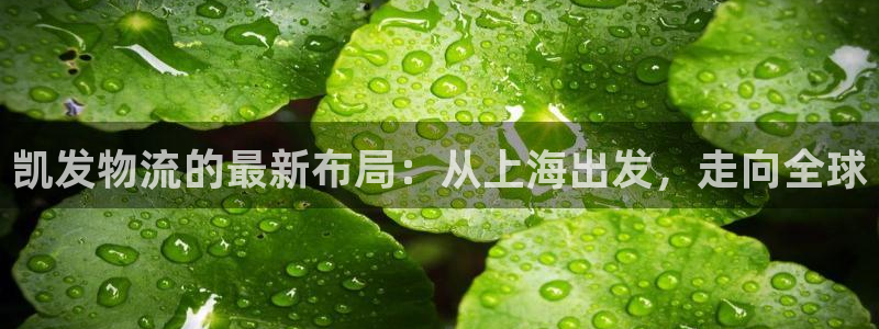 蓝图娱乐.ccm官网版：凯发物流的最新布局：从上海出发，走向全球