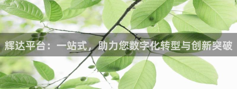 蓝图娱乐vip麻将胡了：辉达平台：一站式，助力您数字化转型与创新突破