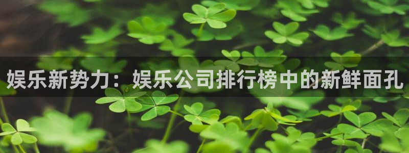 壹号下载官网入口：娱乐新势力：娱乐公司排行榜中的新鲜面孔