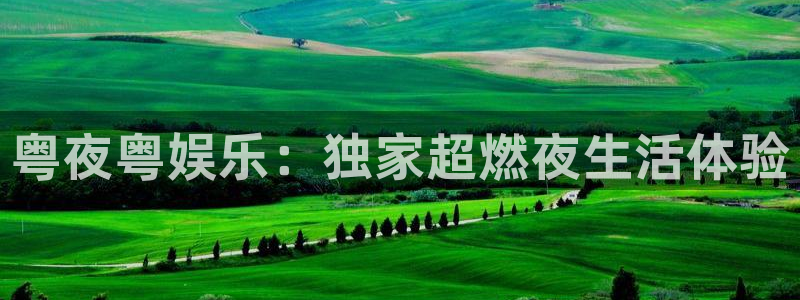 壹号平台下载安装官网：粤夜粤娱乐：独家超燃夜生活体验
