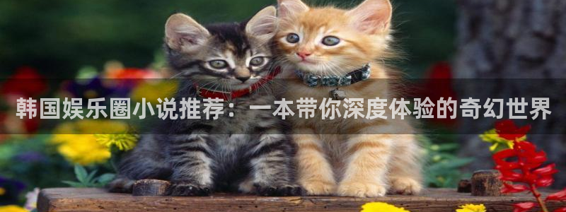蓝图娱乐吧：韩国娱乐圈小说推荐：一本带你深度体验的奇幻世界