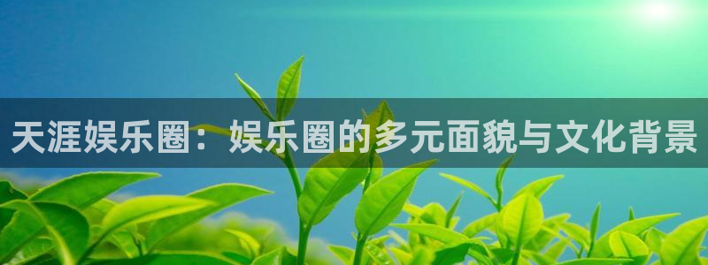 壹号大舞台：天涯娱乐圈：娱乐圈的多元面貌与文化背景