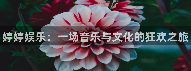 蓝图娱乐吧：婷婷娱乐：一场音乐与文化的狂欢之旅
