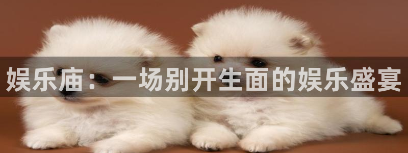 蓝图娱乐com：娱乐庙：一场别开生面的娱乐盛宴