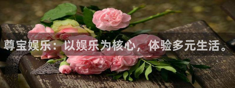 蓝图娱乐手机版下载：尊宝娱乐：以娱乐为核心，体验多元生活。