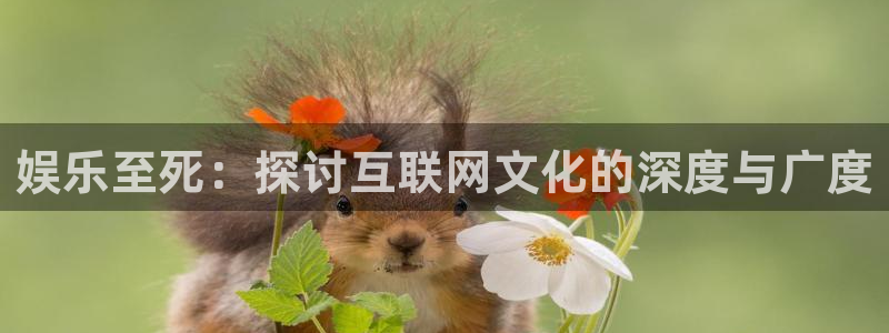 壹号app官网版下载：娱乐至死：探讨互联网文化的深度与广度