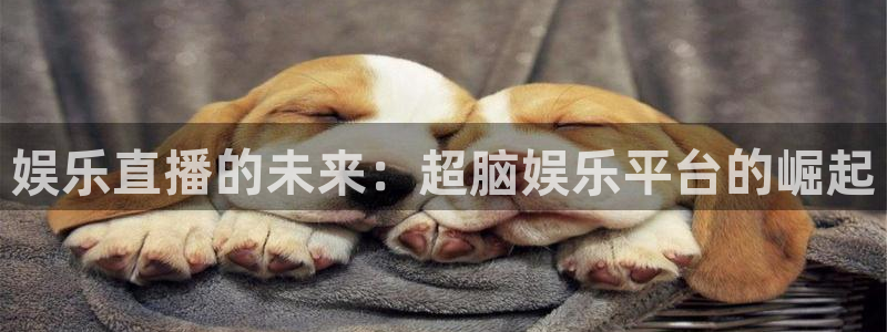 蓝图娱乐哪个游戏好爆：娱乐直播的未来：超脑娱乐平台的崛起