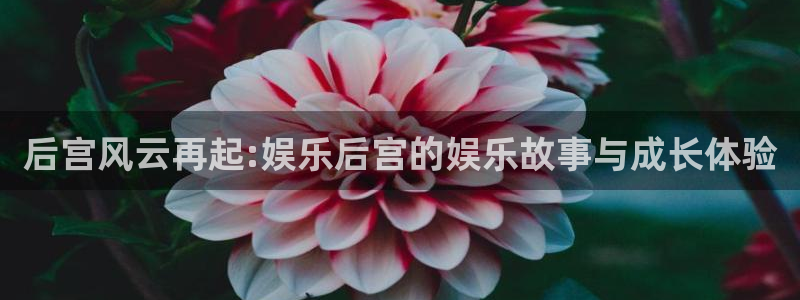 蓝图娱乐下载官网入口在哪：后宫风云再起:娱乐后宫的娱乐故事与成长体验