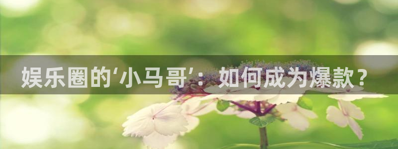 蓝图娱乐平台官方入口下载：娱乐圈的‘小马哥’：如何成为爆款？