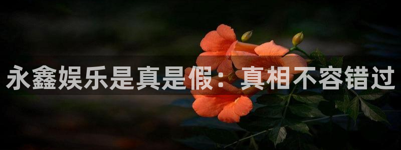 蓝图娱乐.ccmpc正版：永鑫娱乐是真是假：真相不容错过