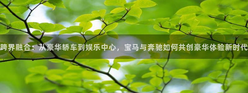 壹号大舞台娱乐传媒：跨界融合：从豪华轿车到娱乐中心，宝马与奔驰如何共创豪华体验新时代