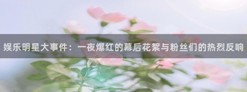 蓝图娱乐是什么平台：娱乐明星大事件：一夜爆红的幕后花絮与粉丝们的热烈反响