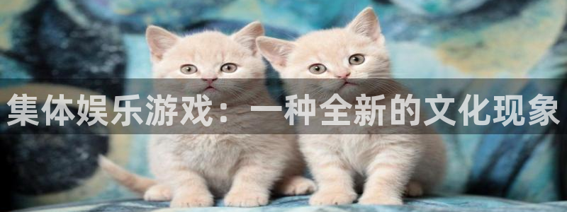 蓝图娱乐网站：集体娱乐游戏：一种全新的文化现象