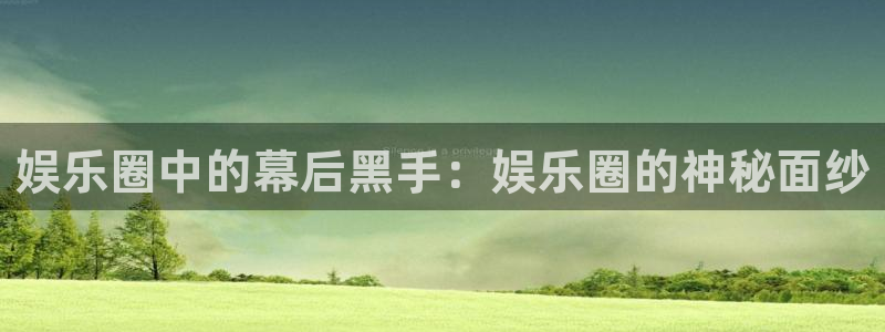 壹号电子娱乐app下载最新版本安装：娱乐圈中的幕后黑手：娱乐圈的神秘面纱