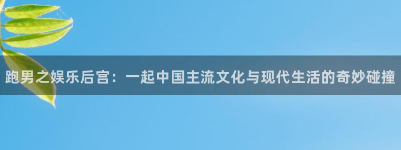蓝图娱乐登录网：跑男之娱乐后宫：一起中国主流文化与现代生活的奇妙碰撞